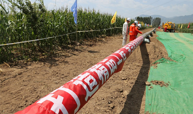 NG体育官网-不凡成绩非凡,相信品牌的实力